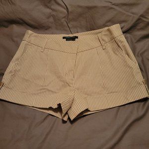 BCBGMaxAzria Size 8 Shorts NWOT